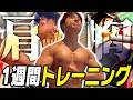【筋トレ】大会に向けて肩・胸トレ!コロチキ西野最新の1週間の筋トレと食事【ダイエット】