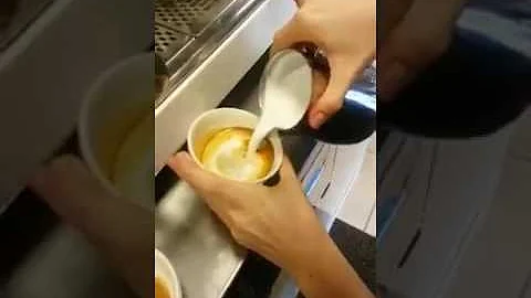 Quali sono le foglie a forma di cuore?