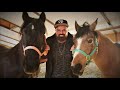 Artist jaye uses an acoustic guitar to connect with a horse  watch until the end 