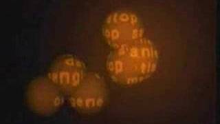 Solex / Oxygene (1996)