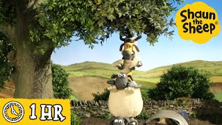 Shaun the Sheep 🐑 Fun on The Farm - Cartoons for Kids 🐑 Full Episodes Compilation [1 hour]