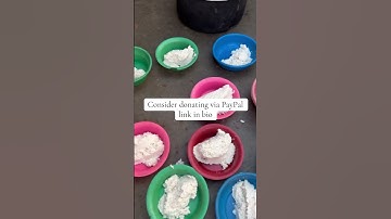 Consider donating via PayPal link in bio #doggielife #shorts #shortvideo #shortsfeed #short