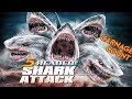 5-Headed Shark Attack (2017) Carnage Count