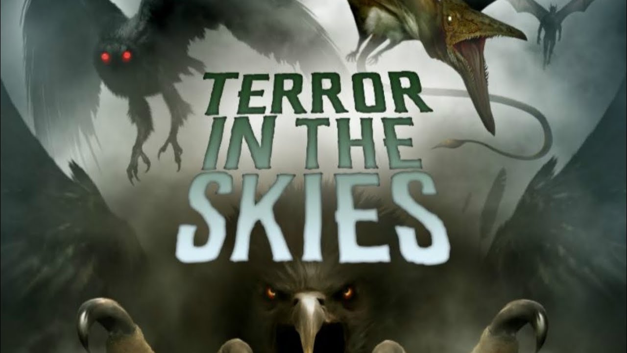 Documentary Review: Terror in the Skies.