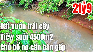 Cờ bạc nợ nần chồng chất anh Tú buộc lòng phải bán mảnh đất vườn của mẹ để lại với giá rất rẻ.Ở BRVT