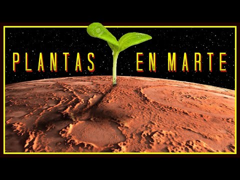 Video: ¿Podríamos plantar en Marte?