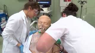 RN to BSN Program