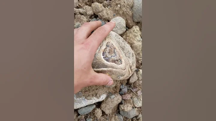 Lake Superior Agate found as is fresh pile of till...