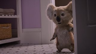 Cushelle - Clean Source