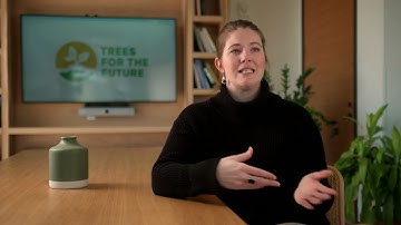 Trees for the Future improves google ads and social ads with Genius Monkey Meta-DSP