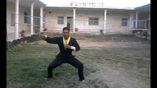 Famous Bredan Fou Martial Arts Five Basic Forms Profile