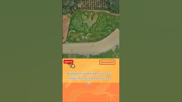 Cá chép vượt vũ môn giữa Tam Cốc – tác phẩm chỉ có 1-0-2. #CaChepVuotVuMon #NgheThuatDongLua