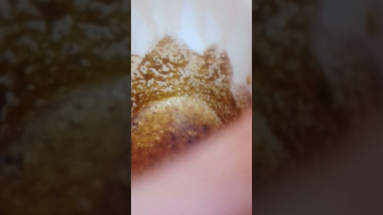 برج الثور👈عاصفه من بعد هدوء،مسح ،ناوى على الرحيل،تنبيه وغفله،تشهير،حدود وزعل،منتظر النتيجه،مش فارق💯👍