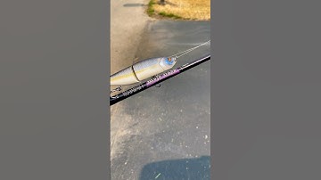 The BEST Bass Fishing Rod For ALL TECHNIQUES!