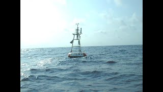 Weather buoy