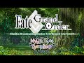 FGO Chaldea Broadcasting Station U.S. Branch Lite Vol. 17