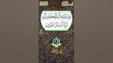 القارئ يونس الياس الحسن الموصلي *قرية أبو ماريا *