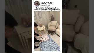 eğlendikleri mi sanan BEBELER