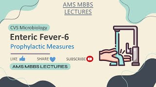 Enteric Fever-6|Prophylactic Measures & Vaccines |CVS |Systemic Microbiology |AMS MBBS