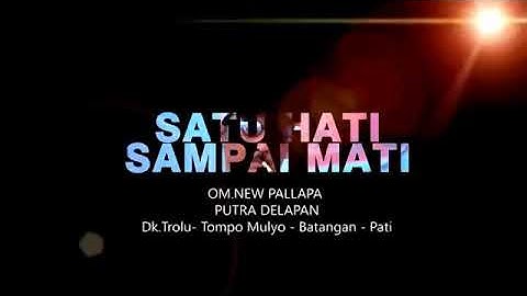SKILL KENDANG KY AGENG SLAMET-SATU HATI SAMPAI MATI-NEW PALLAPA LIVE  PUTRA DELAPAN