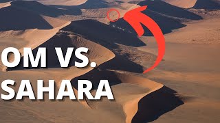Ai Picat În Desertul Sahara -  Ce Faci? screenshot 2