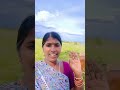 KoriKorivachinduconguvattndu Songnewsinger Gangasinger 2025 KoriKorivachinduconguvattndu Songnewsinger Gangasinger 2025