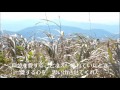 forever road (オリジナル曲)