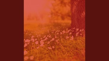 Sublime Backdrops for Creative Daydreams