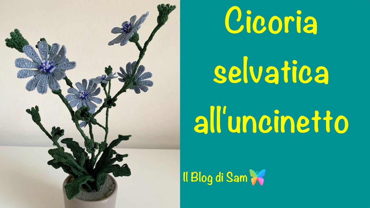 Spiegazione della Cicoria Selvatica all'uncinetto