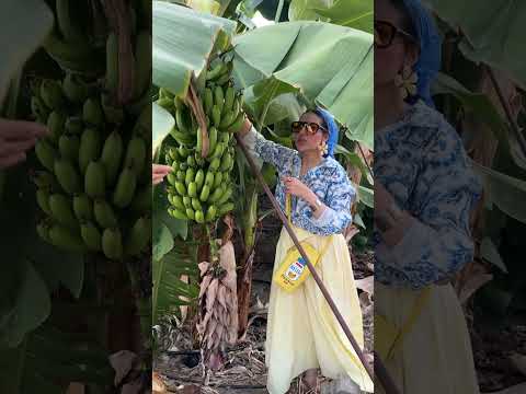 وقتی یه ایرانی میره خارج😂