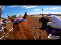 Araña Vs. Capricho Vs. Panadero Vs. Gringo Loco. La Cachanilla RaceTrack, B.C