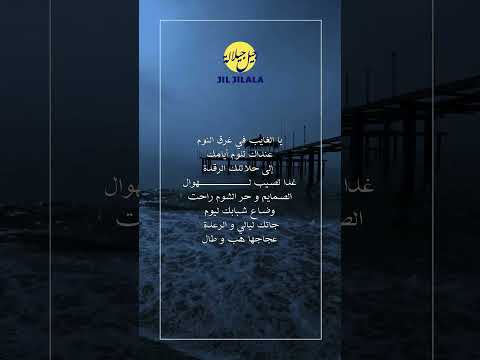    شوفو شلا         