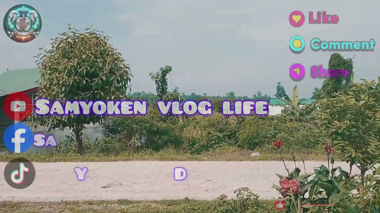 Urlabari 1 morang ko view 