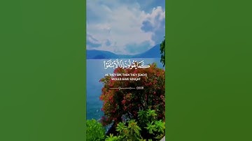 سورة الإسراء - القارئ يوسف العيدروس قرآن كريم حالات واتس اب دينية 📖