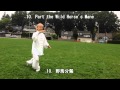 32 Form Tai Chi (Back View) (2013.09.14)