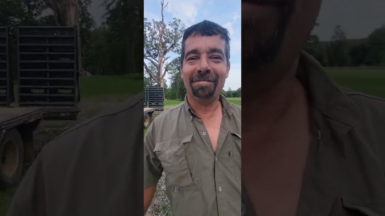 Evening Farm Chores 🚜🐮