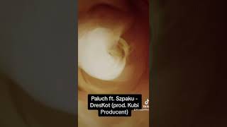 Paluch Ft. Szpaku - Dreskot Prod. Kubi Producent Już 22.09 Na Wszystkich Serwisach Streamingowych
