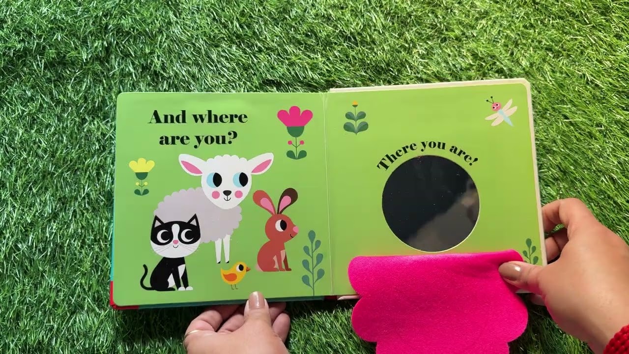 Where’s Baby Chick?