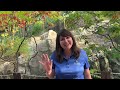 Career Connections: Landscape Architect