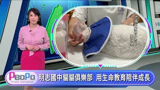 PeoPo公民新聞報｜高雄六龜志工守護遊蕩犬貓  新北明志國中用生命教育陪伴成長20260820