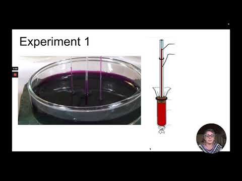 IGCSE Biology Cambridge syllabus 3.2.4