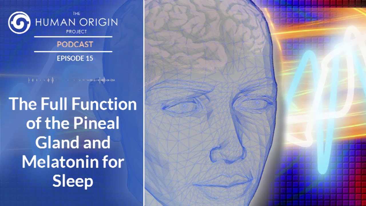 HOP Podcast #15: The Full Function of the Pineal Gland and Melatonin ...