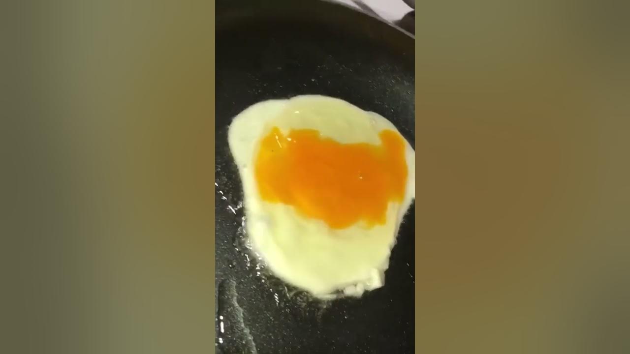 chemical reaction project about frying an egg. YouTube