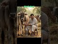చిరంజీవి గారు గుజ్జరి గుజ్జరి సాంగ్ నీ చాలా మంచిగా చేశారు 😍#చిరంజీవి #chiranjeevifans #floksongs #ai