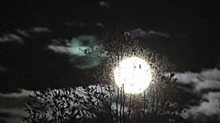 Time lapse super moon rise