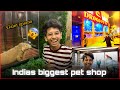 Exploring biggest pet shop  drogo pets dogs cats axolotl birds etc rehan khan vlogs india