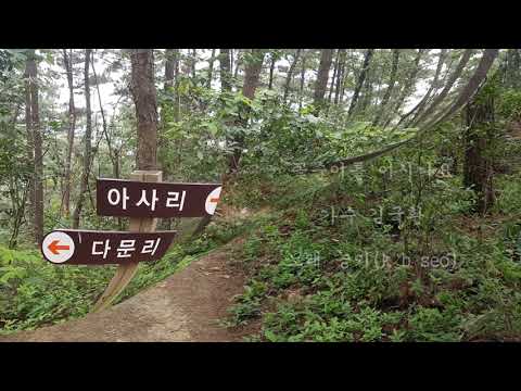 꽃순이를 아시나요  -가수 김국환 노래 능이 .  k  b  seo
