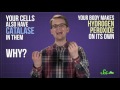 Should You Use Hydrogen Peroxide to Clean Wounds?