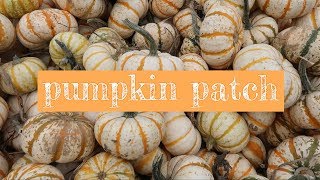 Pumpkin Patch Trip | Oct 15, 2017
