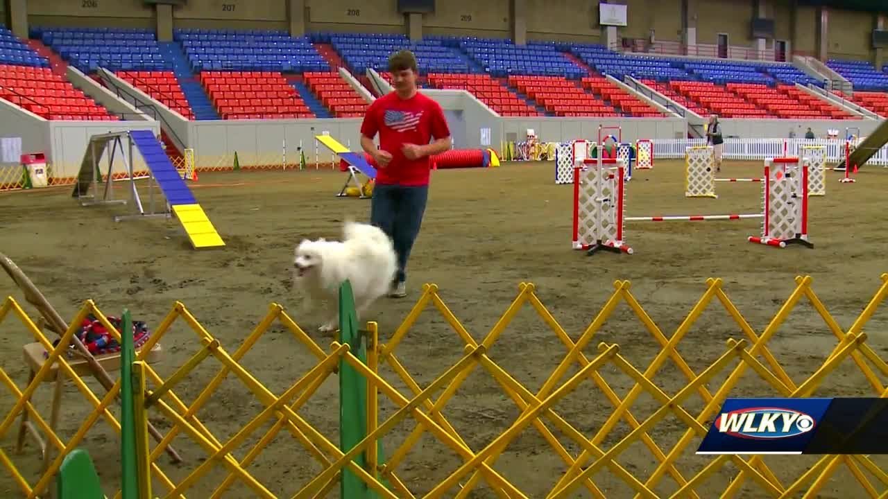 More than 900 dogs compete in agility trials at Kentucky Expo Center YouTube